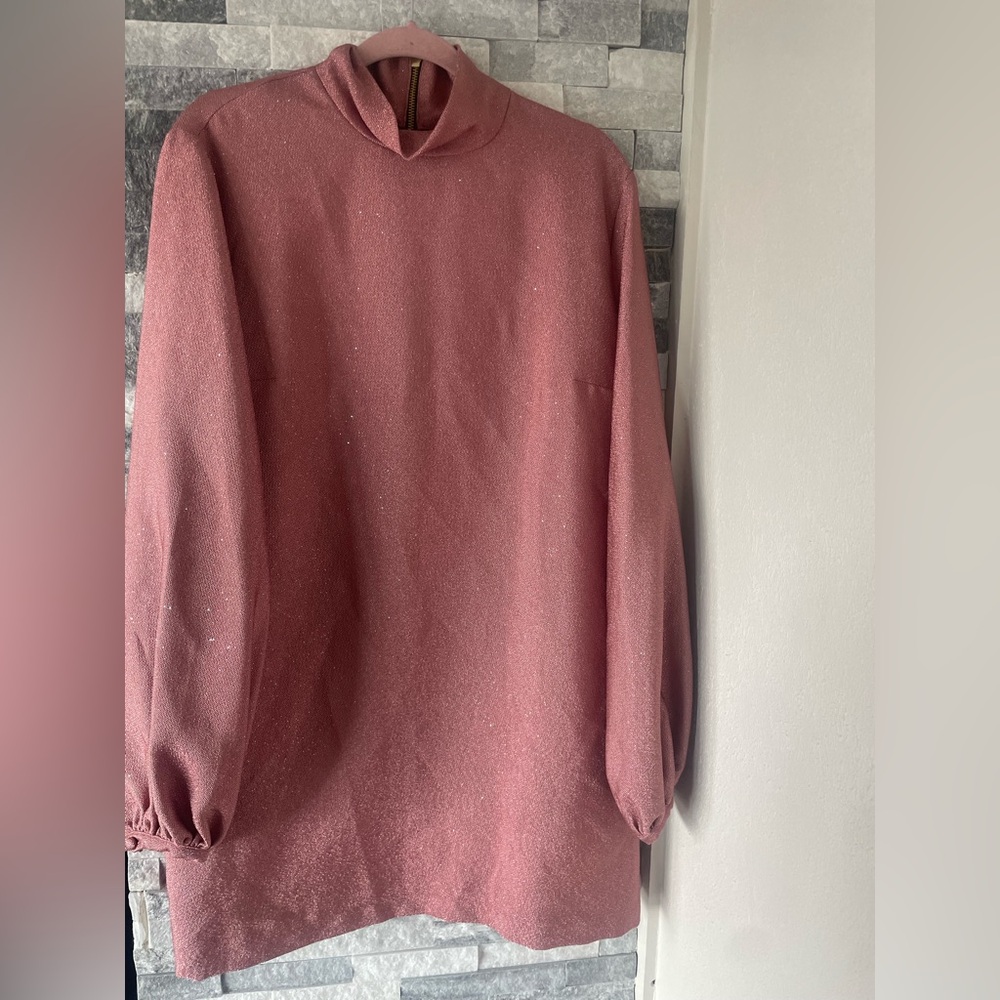 Women's KIMBERLY GOLDSON NWT Long Sleeve Dress-Dusty Rose Pink-Size XL
